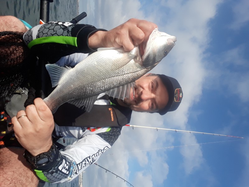 Fish Profile Picture