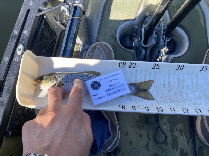 Fish Measure Picture