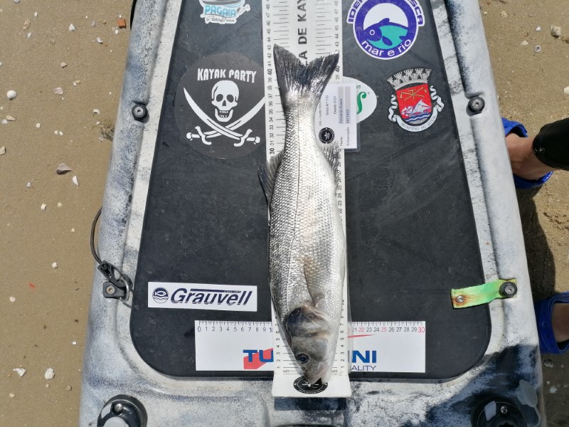 Fish Measure Picture