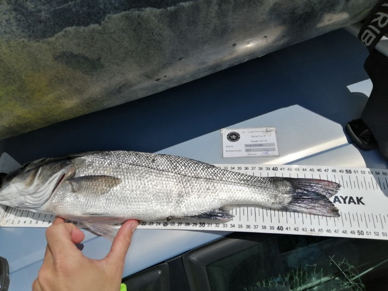 Fish Measure Picture