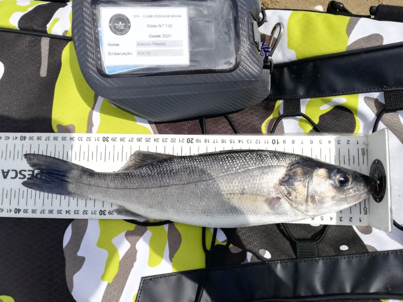 Fish Measure Picture