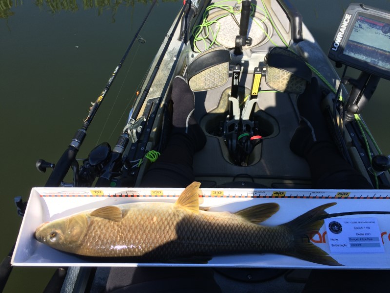 Fish Profile Picture