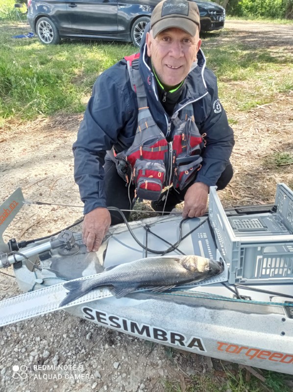 Fish Profile Picture