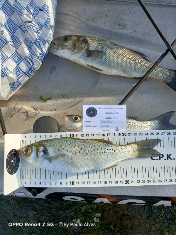 Fish Measure Picture