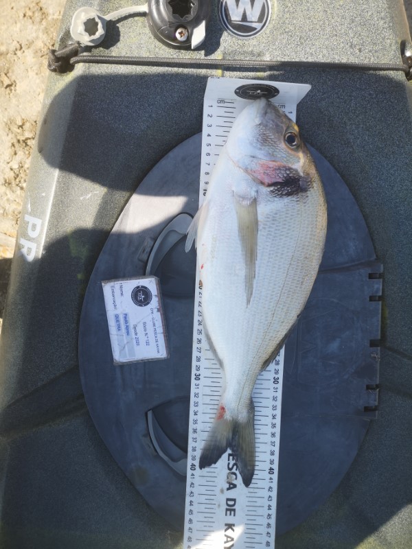 Fish Measure Picture