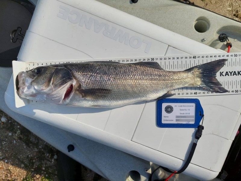 Fish Measure Picture