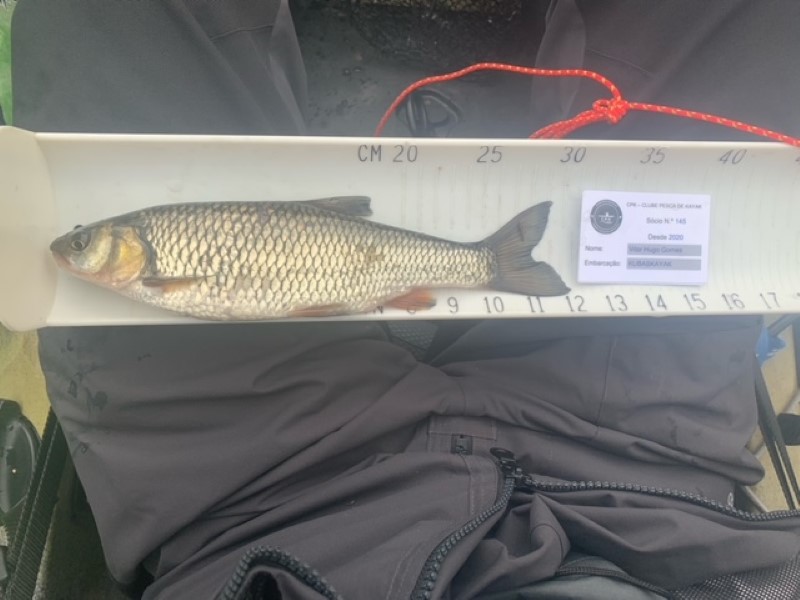 Fish Measure Picture