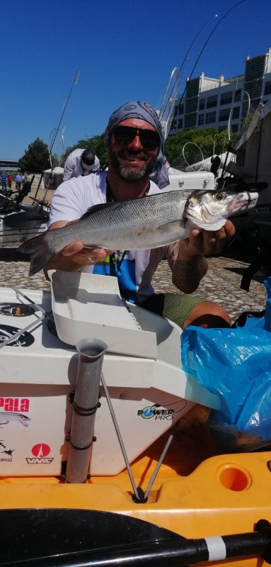 Fish Profile Picture