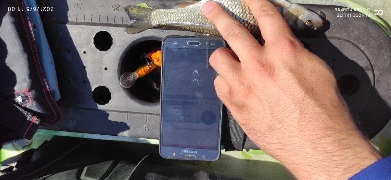 Fish Measure Picture