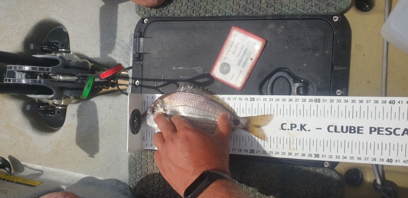 Fish Measure Picture