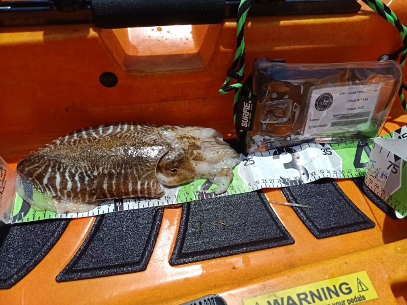 Fish Measure Picture