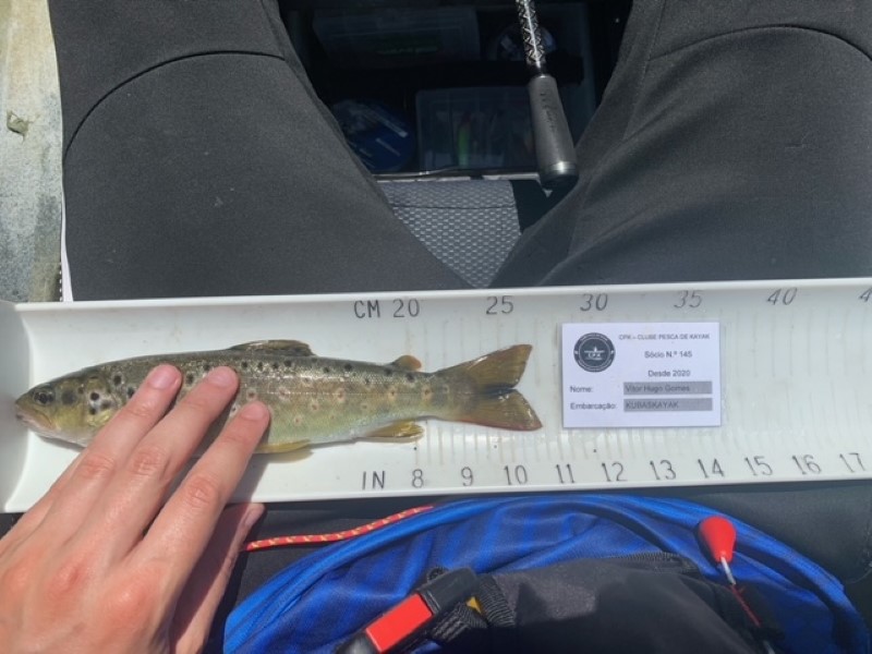 Fish Measure Picture
