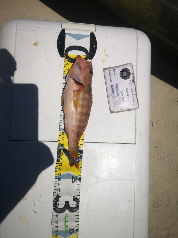 Fish Measure Picture