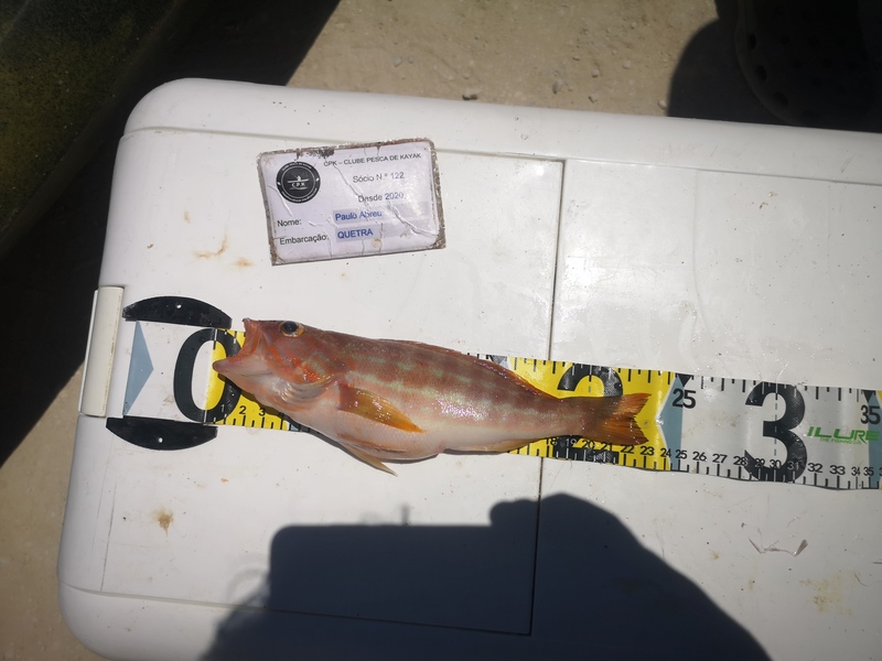 Fish Measure Picture