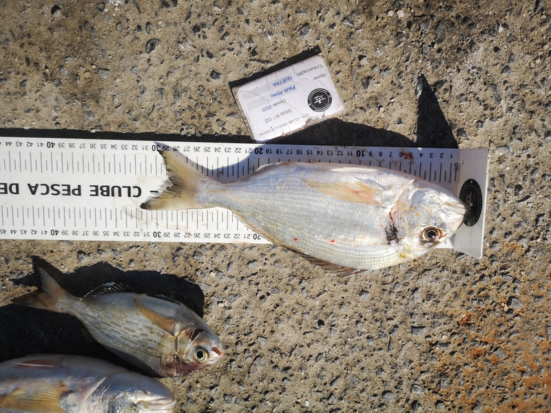 Fish Measure Picture