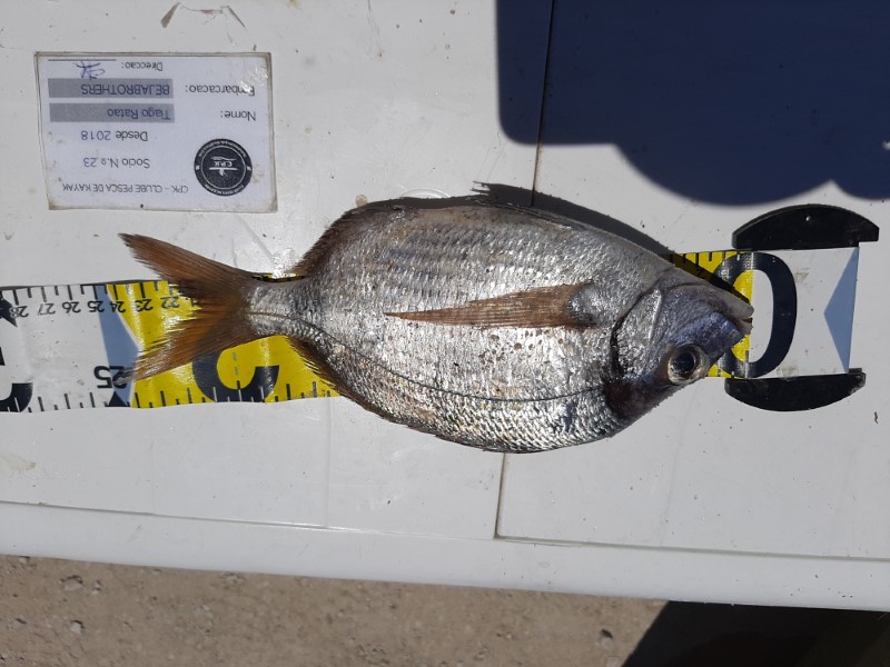 Fish Measure Picture