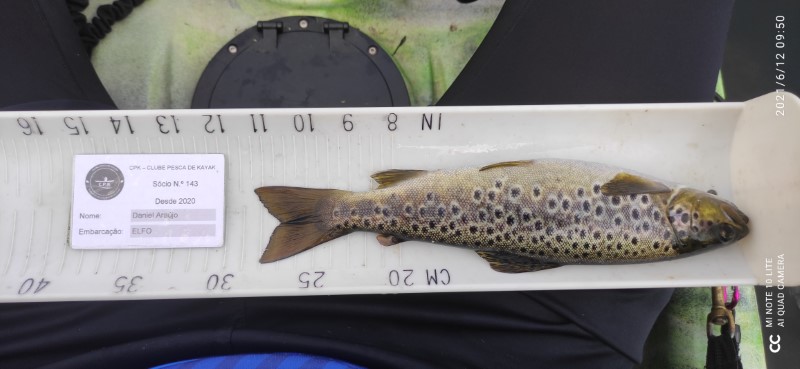 Fish Measure Picture