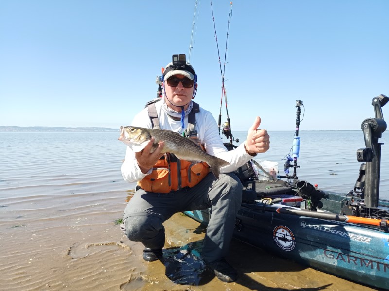 Fish Profile Picture