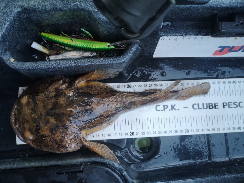 Fish Measure Picture