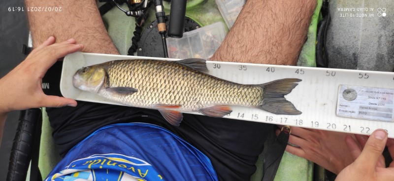 Fish Measure Picture