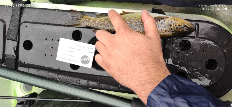 Fish Measure Picture
