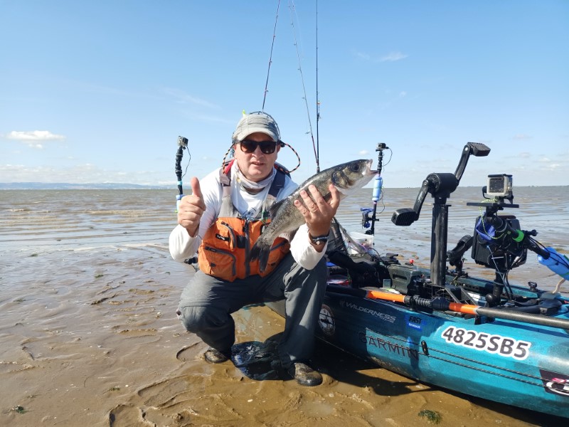 Fish Profile Picture