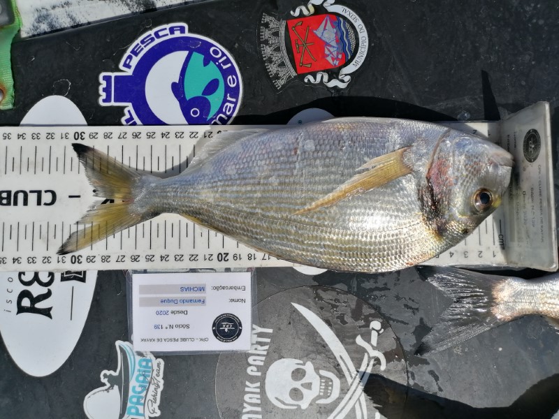 Fish Measure Picture