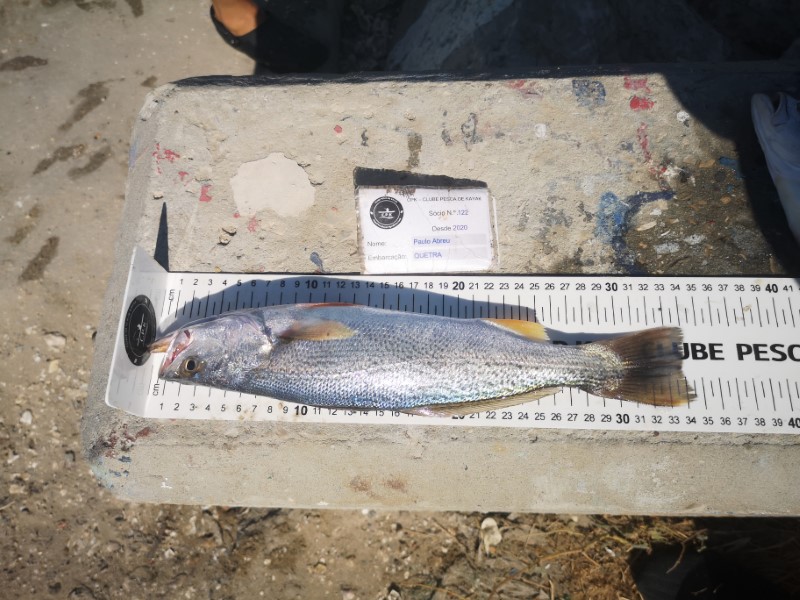 Fish Measure Picture