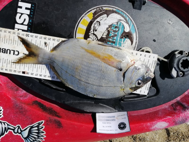 Fish Measure Picture