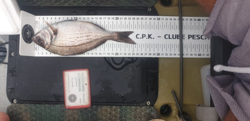 Fish Measure Picture