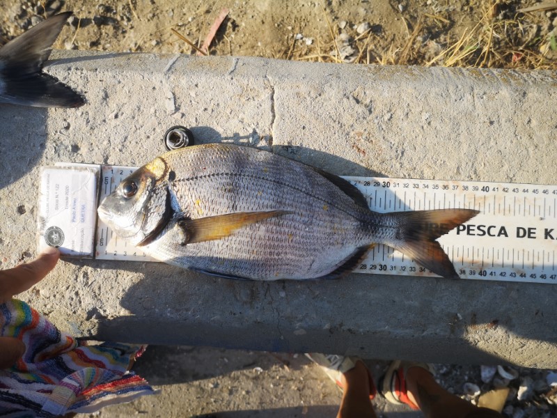 Fish Measure Picture