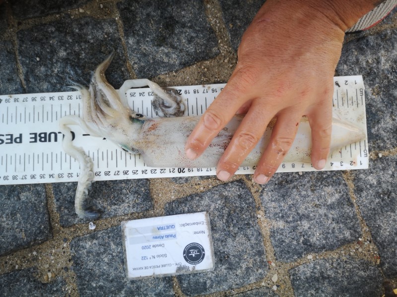 Fish Measure Picture
