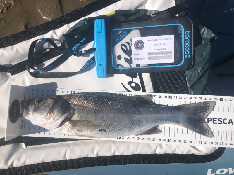 Fish Measure Picture