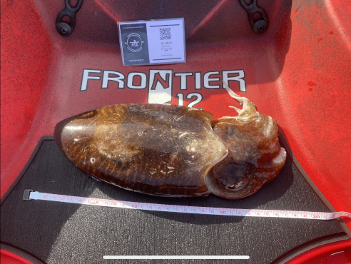 Fish Measure Picture