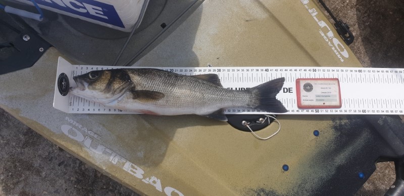 Fish Measure Picture