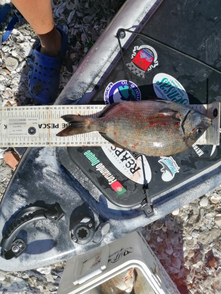 Fish Measure Picture