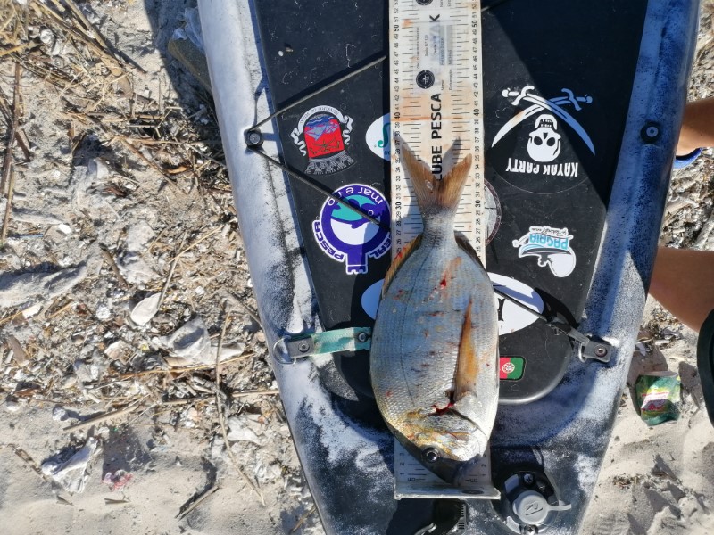Fish Measure Picture