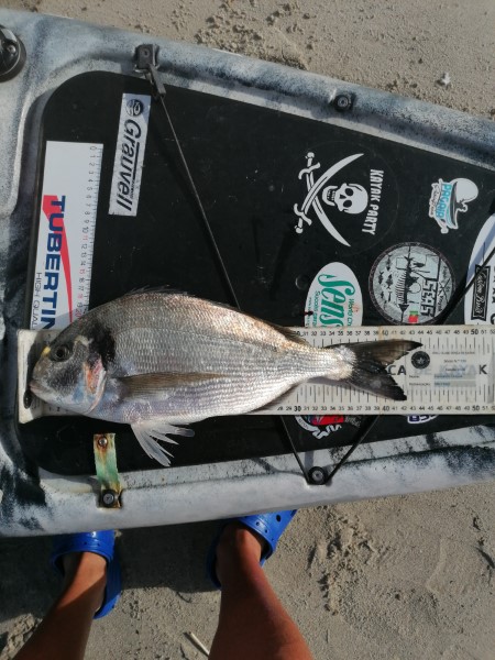 Fish Measure Picture