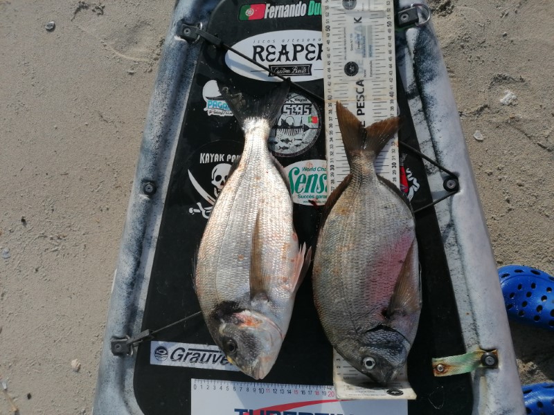 Fish Measure Picture
