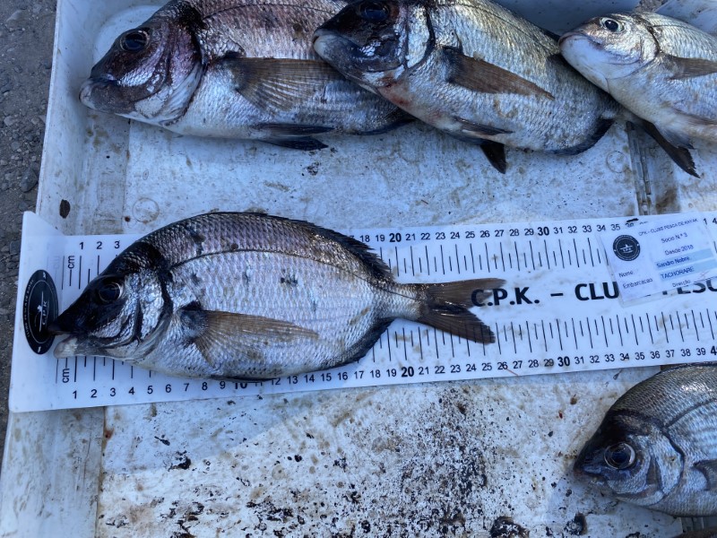 Fish Measure Picture