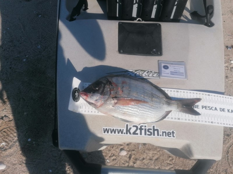 Fish Measure Picture