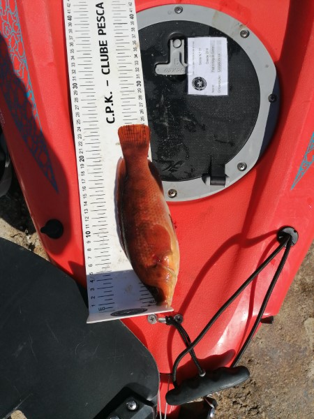 Fish Measure Picture