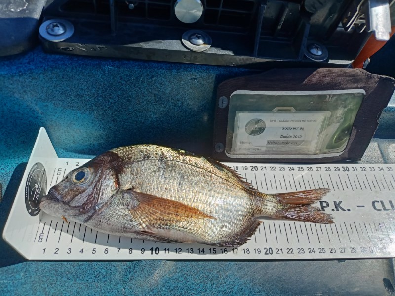 Fish Measure Picture