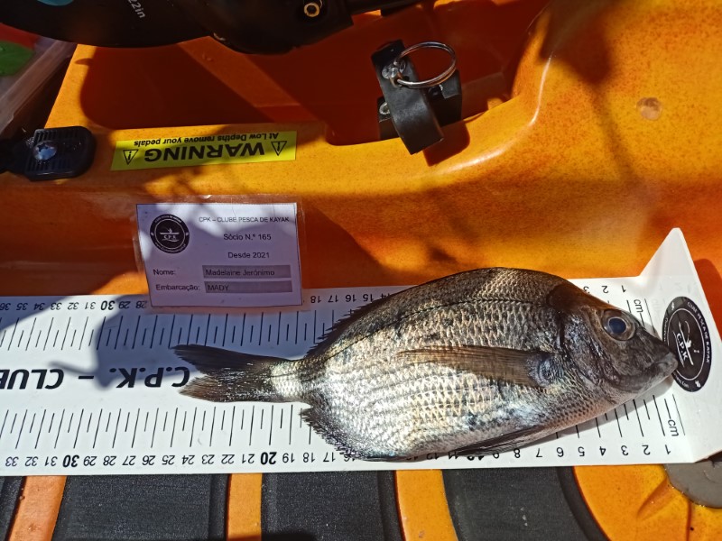 Fish Measure Picture