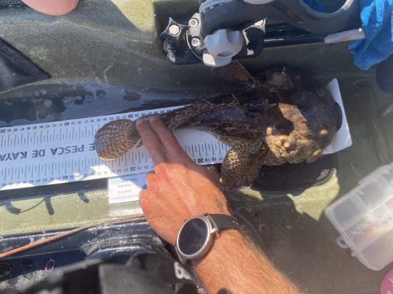 Fish Measure Picture