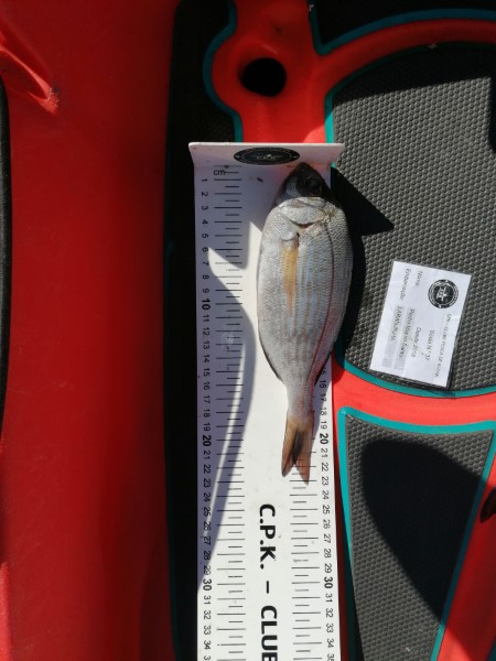 Fish Measure Picture