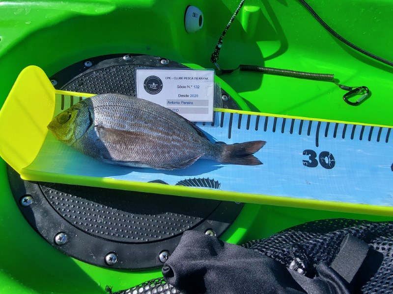 Fish Measure Picture