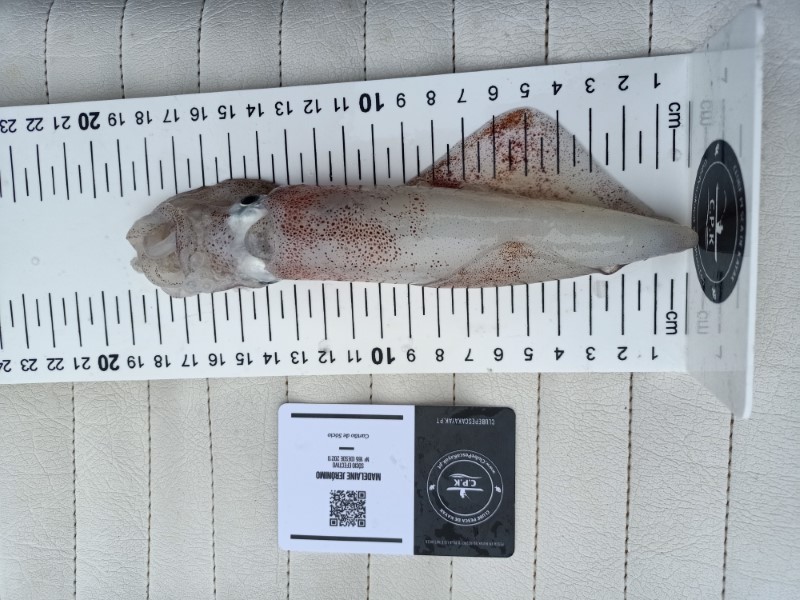Fish Measure Picture