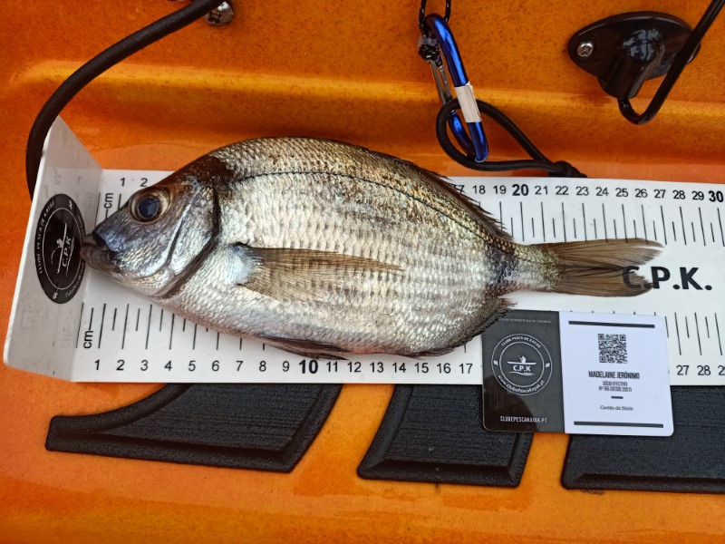 Fish Measure Picture