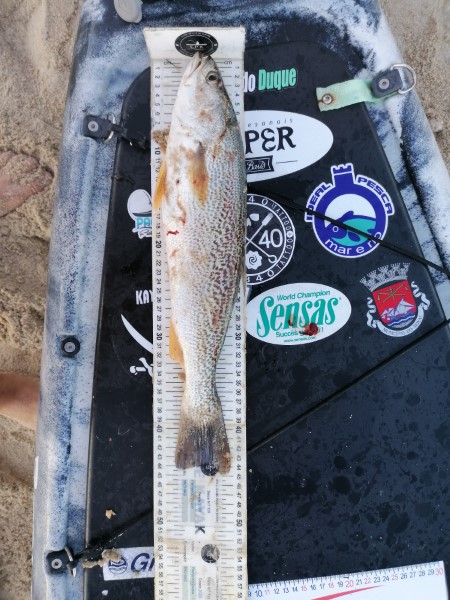 Fish Measure Picture